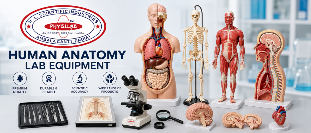 50 Human Anatomy Lab Equipment List and Their Uses
