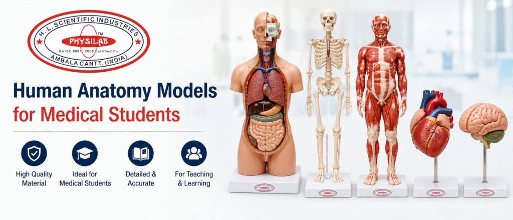 Human Anatomy Models for Medical Students